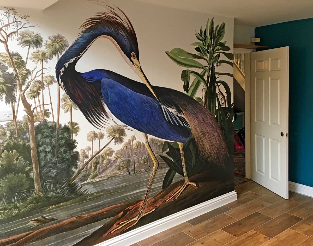 Audubon - Louisiana Heron wallpaper mural
