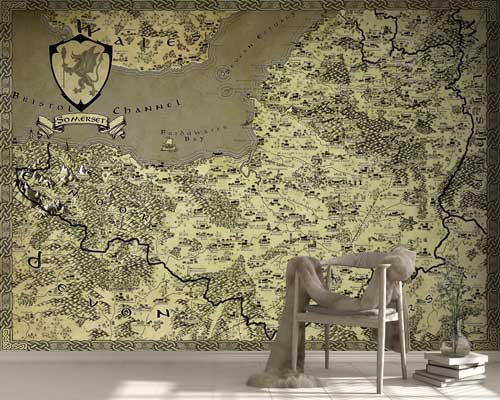 Fantasy World Map Murals